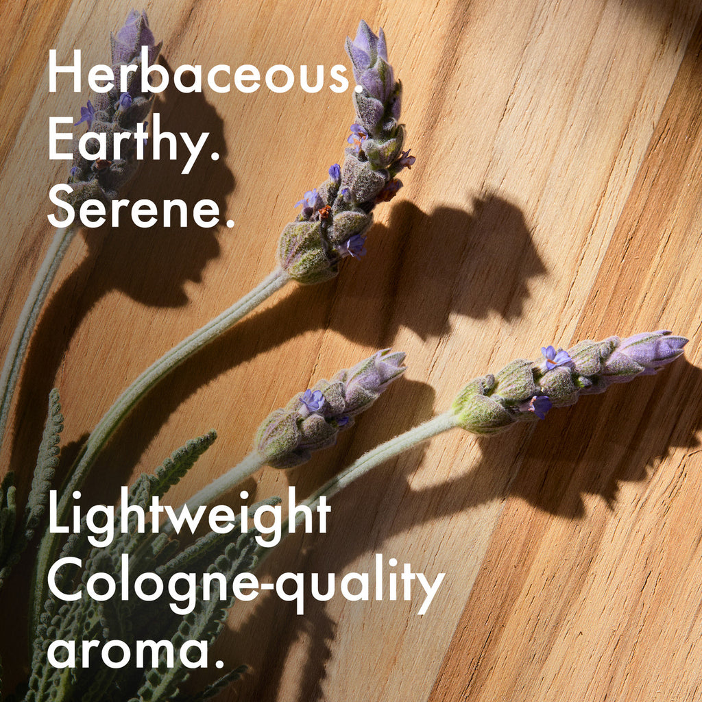 Core Elements Bundle   -  Lavender